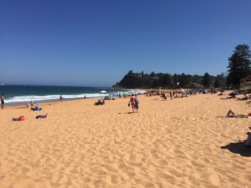 Travelspotter Monthly Recap - January - All the things I did in January, 2018, as seen on the blog www.travelspotter.org - Beaches