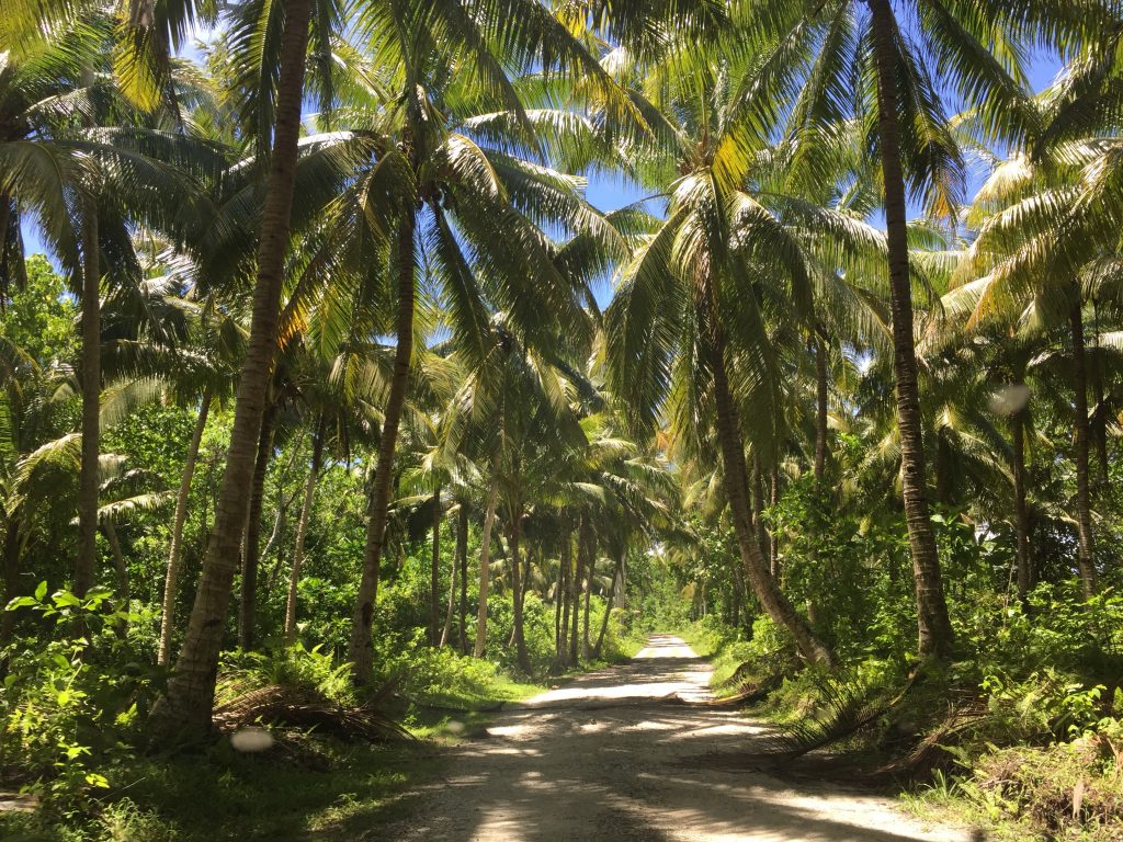 Travelspotter Monthly Recap - January - All the things I did in January, 2018, as seen on the blog www.travelspotter.org - Samoa