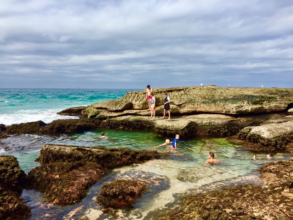 Montlhy Recap - March - Travelspotter - Sydney Northern Beaches- http://www.travelspotter.org/uncategorized/monthly-recap-march-2018/