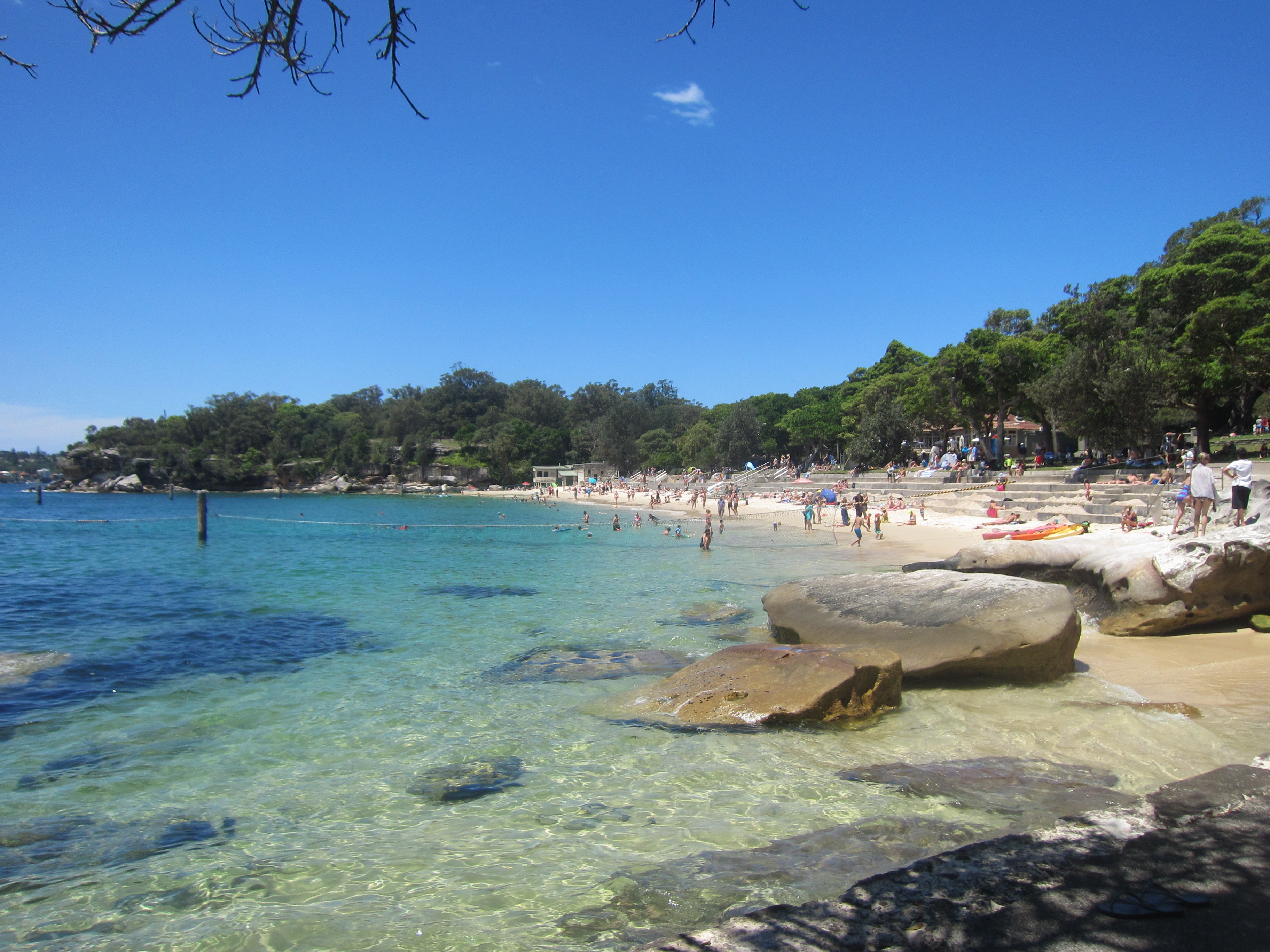 Shark Bay, Sydney
