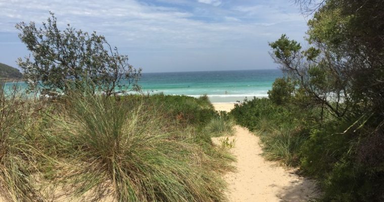 Photo of the Week … Mollymook
