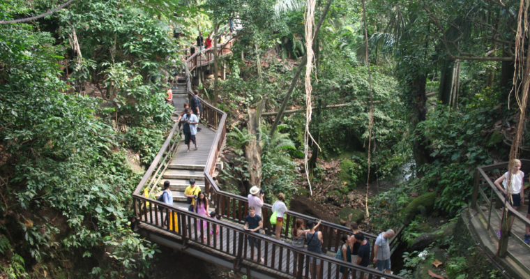 What not to do in the Ubud Monkey Forest
